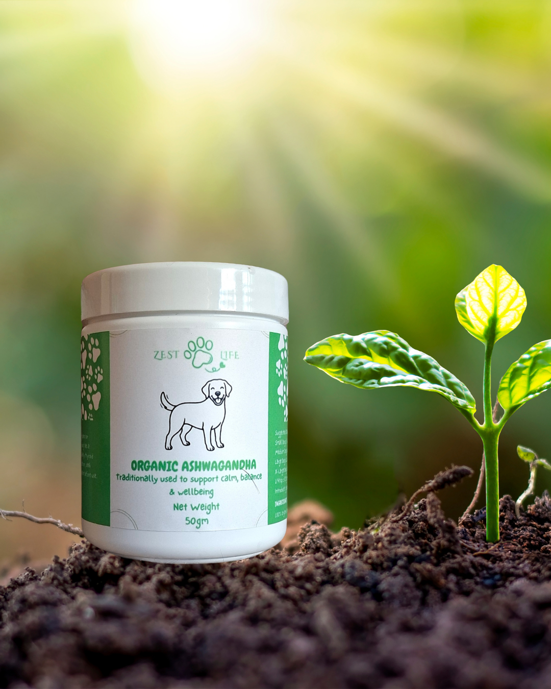 Organic Ashwagandha Powder for Dogs – 50g