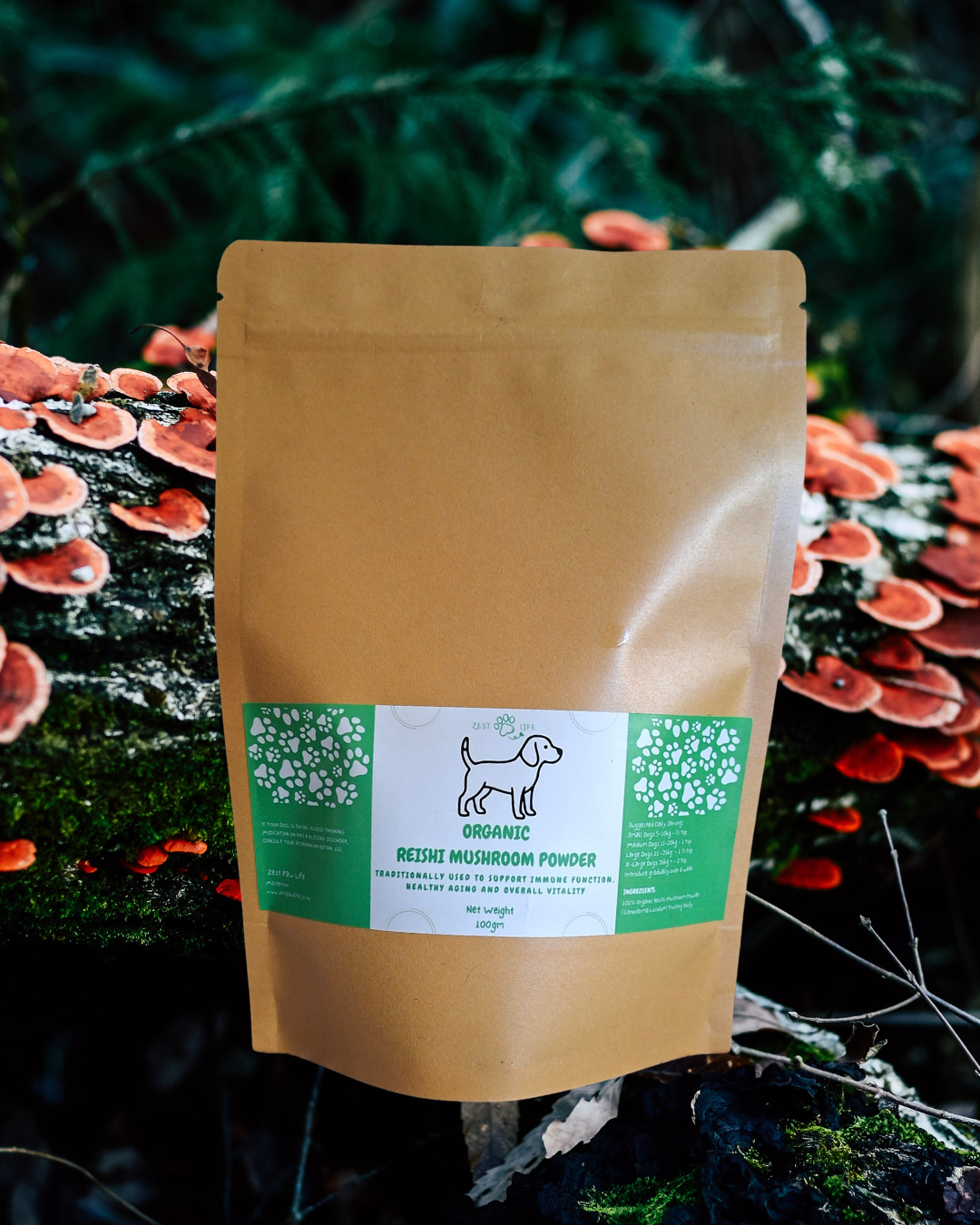Organic Reishi Mushroom Powder for Dogs – 100gm